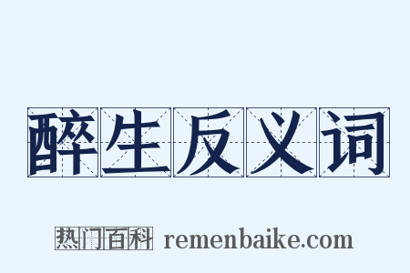 醉生反义词是什么意思的图片